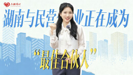 湖南与民营企业，正在成为“最佳合伙人”|跃升之路②