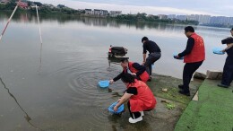 80万尾鱼苗“安家”资江！大祥区开展增殖放流活动