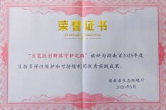 绥宁：黄桑长苞铁杉群落保护案例获评省级优秀实践成果