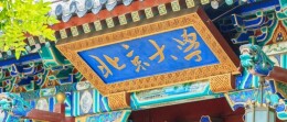 北大已删除“鹅腿阿姨”推文