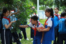 吉首市乾元小学：以劳育人 融学于行
