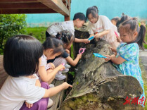 探究霉菌悟新知——怀化市鹤城区第二幼儿园开展芒种节气探究主题活动