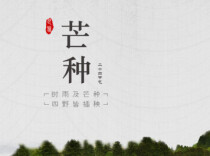 芒种：忙而不茫的人生寓言