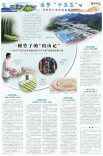 一根竹子的“出山记”——绥宁产业开发区锻造全国“以竹代塑”高地的突围之路