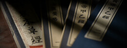 总书记关心的世界级非遗｜灵枢妙法济苍生