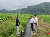 安仁金紫仙镇：沟渠通了，民心顺了