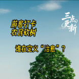 三点更新：游客打卡，农民砍树。谁在定义“治愈”？
