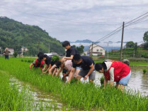安化县小淹镇敷溪学校：走进田间学农耕，劳动实践促成长