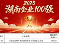中华财险湖南分公司再登“湖南企业100强”榜单