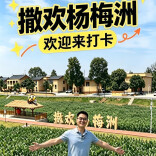 旅发大会·湘潭相会62丨有花海、能露营、遛萌宠……撒欢杨梅洲等你来打卡！