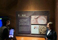 一粒小麦的壮大，见证中华民族饮食文化的“多元融合”