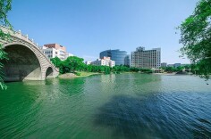 专业调整要从“大逻辑”出发