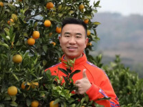 走！回村搞事业去