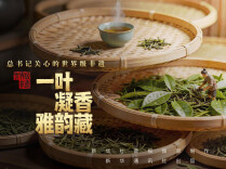 总书记关心的世界级非遗｜一叶凝香雅韵藏