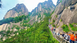 绿满黄山夏更幽