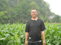 残疾烟农刘正明的致富之路