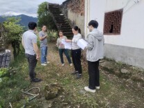 桂东四都：暖心实干破难题 真情服务筑坦途