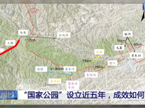 “国家公园”设立近五年 成效如何？