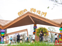 能撒欢、能怀旧、能出片！来杨梅洲赴一场夏日之约