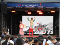 衡阳文旅资源精彩亮相第三届法兰克福国际龙舟节