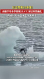 比正常水平高20多摄氏度！南极半岛冬季惊现15.4℃，创同期历史新高