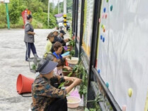 一枚端午香粽，串起党群邻里情