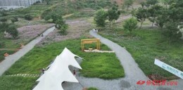 闲置地变“打卡地” 城市更新“秀”出新风景