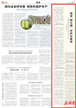 娄底市：筑牢“防火墙” 守护万家安|湖南日报
