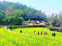 数智赋能红土地——韶山市探索红色文旅与城市治理融合新路径观察