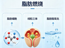 出汗越多，瘦得越快？
