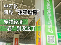 随“新”开麦丨中石化跨界“招猫逗狗”！宠物经济“卷”到没边了
