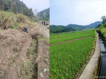 郴州扎实开展对村巡察，推动解决问题1.6万余个—— 以“小切口”破解民生“大难题”