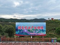 桂东清泉镇：深耕农文旅 铺就共富路
