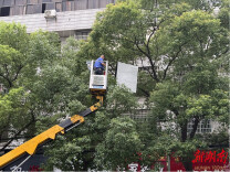 快速处置高空悬挂物，南县城管对安全隐患“零容忍”