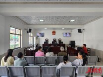 多元联动+智慧赋能 岳阳县公田法庭畅通司法护残路