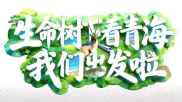 生命树下看青海丨达人团集结完毕！6月22日出发江源