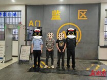 涉案金额达40余万元 东安公安破系列盗窃变压器案 