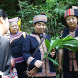 江华瑶医药节：深山采好药