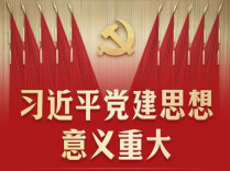 近闻·习近平党建思想，意义重大