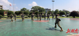 桃江：实战训练+红色研学，锤炼民兵应急本领