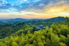 破题竹林连片开发“权证难” 湖南颁发首批竹林不动产证