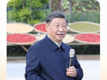 时政微观察丨我将无我 不负人民