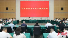 宁乡企业“尖子生”提速上市