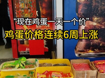 “现在一天一个价”，鸡蛋价格连续6周上涨