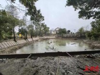 高塘岭街道新河村：十口山塘连片提质改造 蓄水润田赋能乡村振兴