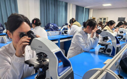 湖南交通工程学院2026年护理学专业全国护士执业资格考试通过率达99%