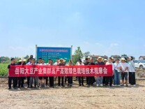 专家支招，田间开课 岳阳这场大豆栽培技术培训干货满满！