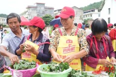 安仁：粽叶飘香“践”文明 党群中心“聚”民心