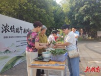 芙蓉区跃进湖社区开展端午民俗暨反诈宣传主题活动