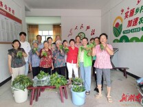 沙塘乡：多彩活动迎端午 党群连心暖乡邻